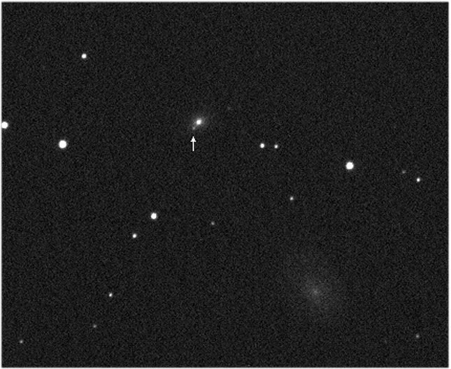 SN2010Y_giancarlo.jpg (83523 byte)