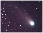 neat_tomaselli_m44_mini.jpg (4408 byte)