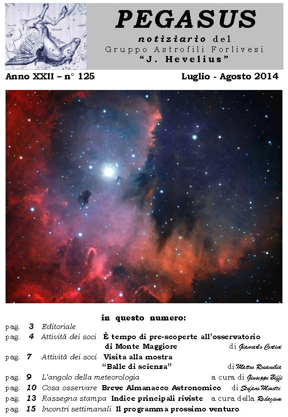 Pegasus_125_copertina.jpg (110178 byte)