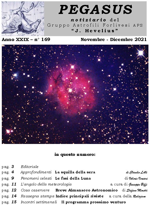 Pegasus_169_copertina.jpg (134403 byte)