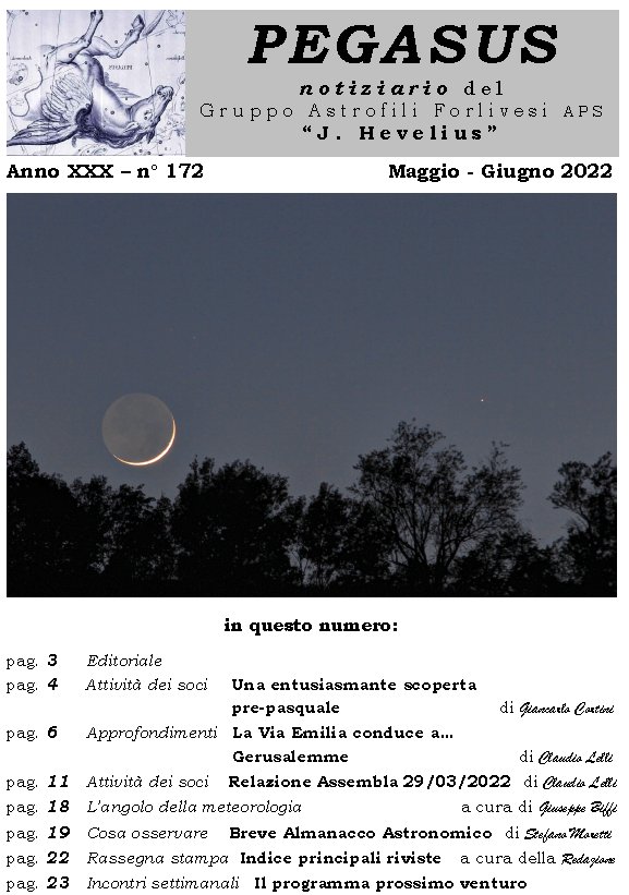 Pegasus_172_copertina.jpg (103456 byte)