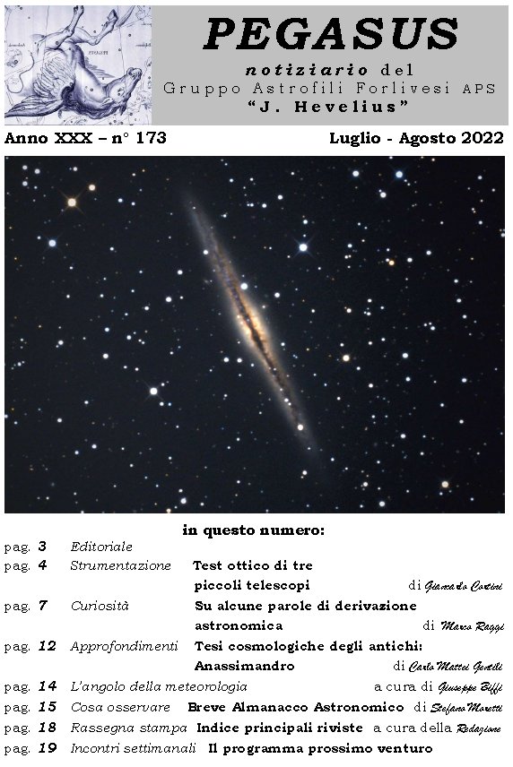 Pegasus_173_copertina.jpg (110851 byte)