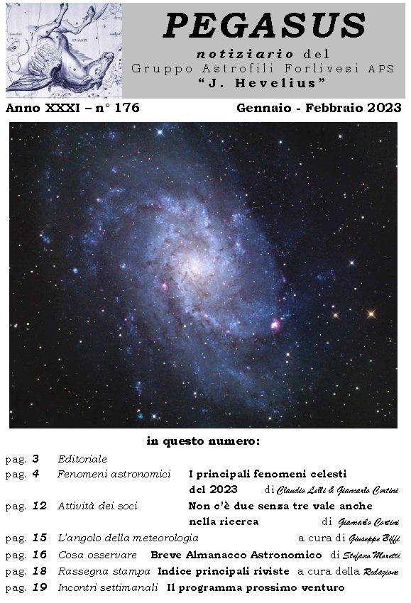 Pegasus_176_copertina.jpg (121244 byte)