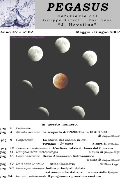 Pegasus_82_copertina.jpg (57329 byte)