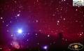 regione di zeta Orionis, con nebulose fiamma e testa di cavallo
